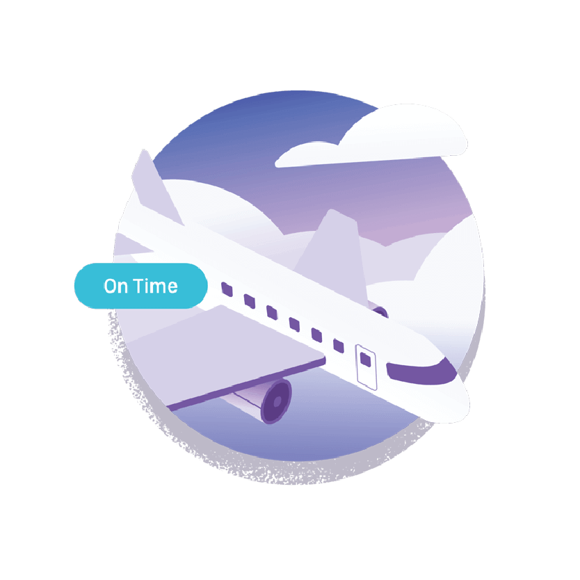 Icon of airplane with "On Time" status